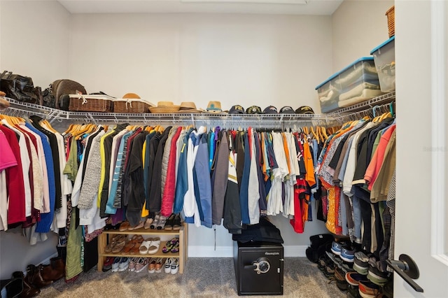 spacious closet featuring carpet floors