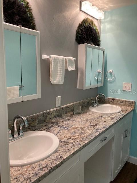 full bathroom with wood finished floors, a sink, and double vanity