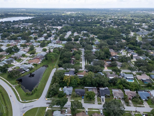 3184 Cypress Green Dr, Palm Harbor, FL 34684 - photo 22