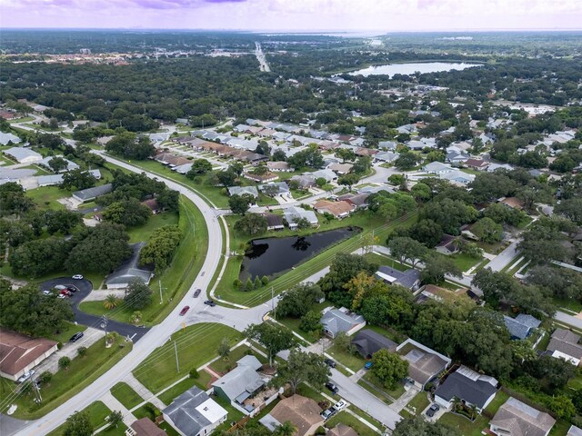 3184 Cypress Green Dr, Palm Harbor, FL 34684 - photo 23