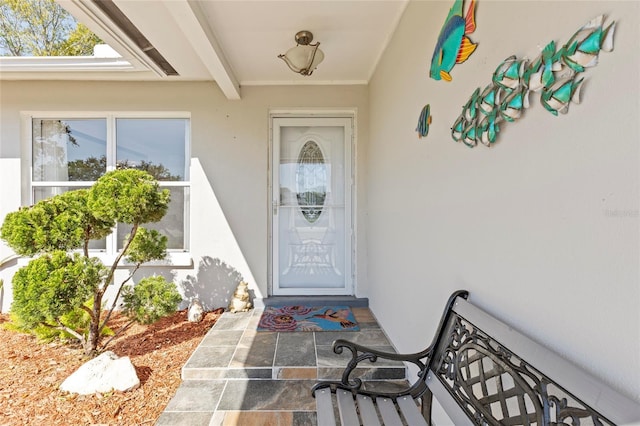 view of exterior entry featuring stucco siding