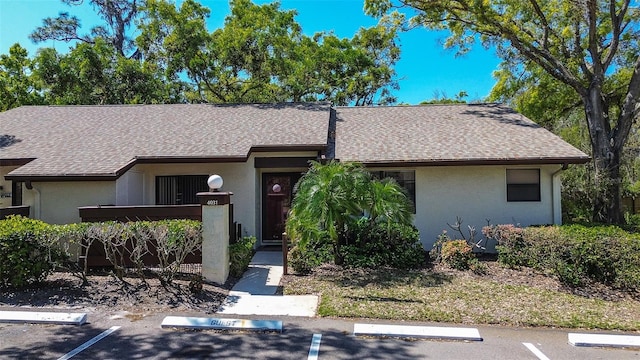 4031 Bluff Oak Ct, Palm Harbor, FL 34684 - view of front of property with stucco siding, a shingled roof, and uncovered parking
