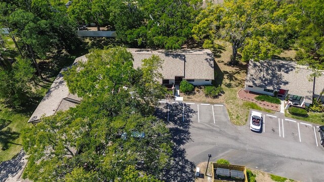 4031 Bluff Oak Ct, Palm Harbor, FL 34684 - birds eye view of property