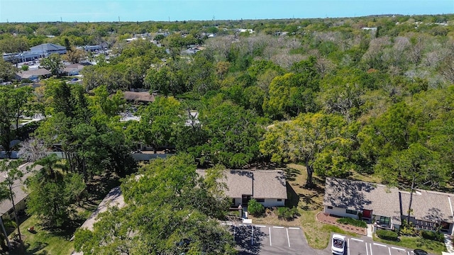4031 Bluff Oak Ct, Palm Harbor, FL 34684 - aerial view featuring a forest view