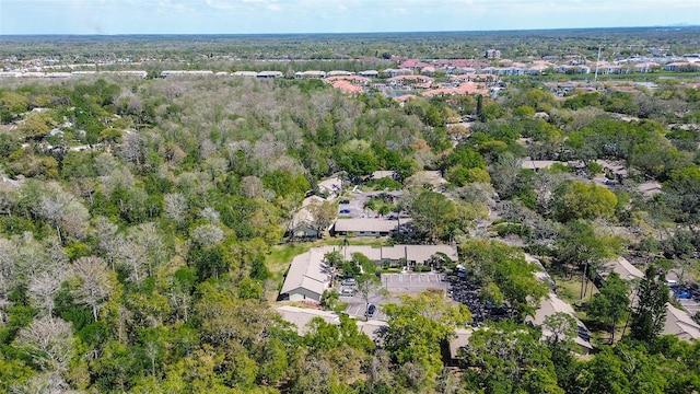 4031 Bluff Oak Ct, Palm Harbor, FL 34684 - aerial view with a forest view