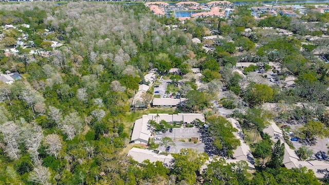 4031 Bluff Oak Ct, Palm Harbor, FL 34684 - birds eye view of property with a residential view and a water view