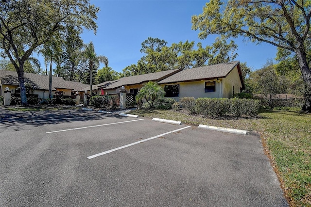 4031 Bluff Oak Ct, Palm Harbor, FL 34684 - exterior space