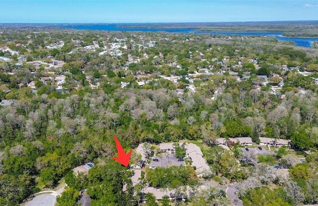 4031 Bluff Oak Ct, Palm Harbor, FL 34684 - drone / aerial view featuring a wooded view