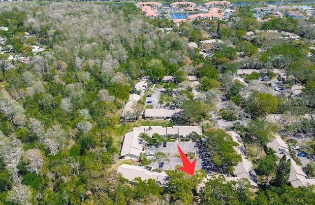 4031 Bluff Oak Ct, Palm Harbor, FL 34684 - aerial view with a residential view and a water view
