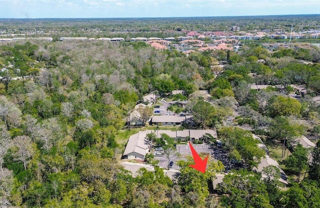 4031 Bluff Oak Ct, Palm Harbor, FL 34684 - bird's eye view featuring a view of trees