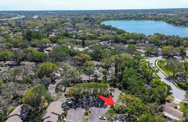 4031 Bluff Oak Ct, Palm Harbor, FL 34684 - bird's eye view featuring a view of trees and a water view
