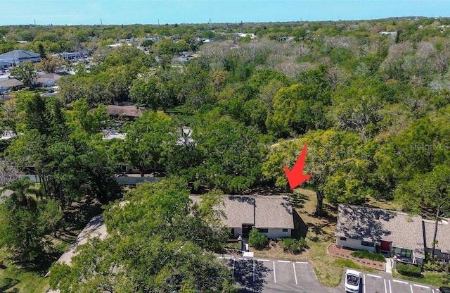 4031 Bluff Oak Ct, Palm Harbor, FL 34684 - aerial view with a forest view
