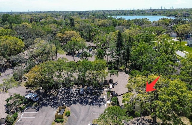 4031 Bluff Oak Ct, Palm Harbor, FL 34684 - birds eye view of property featuring a water view and a wooded view