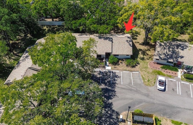 4031 Bluff Oak Ct, Palm Harbor, FL 34684 - aerial view