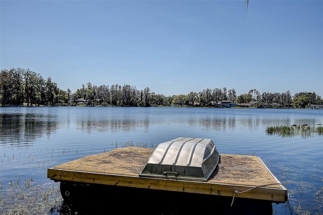 18715 Lakeshore Dr, Lutz, FL 33549 - photo 42