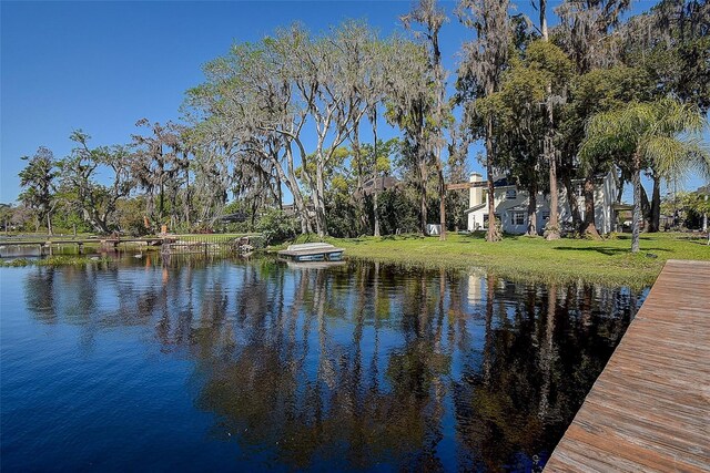 18715 Lakeshore Dr, Lutz, FL 33549 - photo 45