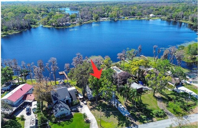 18715 Lakeshore Dr, Lutz, FL 33549 - photo 50