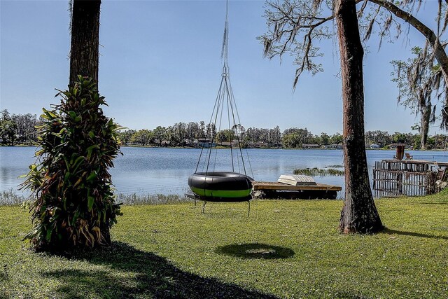 18715 Lakeshore Dr, Lutz, FL 33549 - photo 41