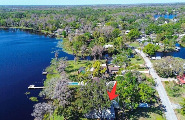 18715 Lakeshore Dr, Lutz, FL 33549 - photo 49