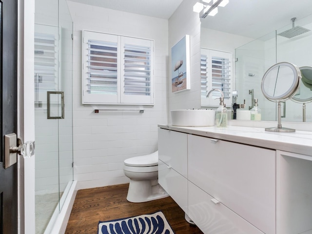 bathroom with a wealth of natural light, a shower stall, wood finished floors, and a sink