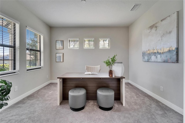 office space with visible vents, light colored carpet, and baseboards