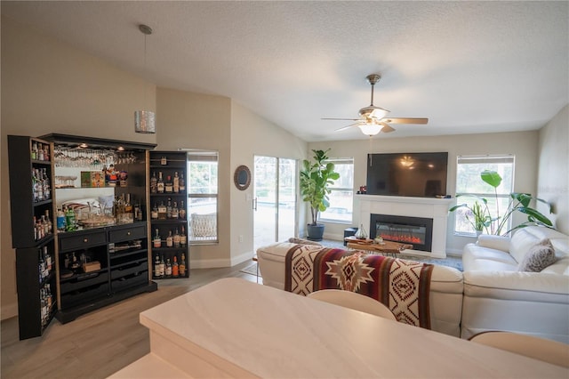 living area featuring wood finished floors, lofted ceiling, a healthy amount of sunlight, and a glass covered fireplace