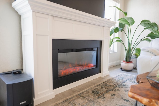 room details featuring a glass covered fireplace, wood finished floors, and baseboards