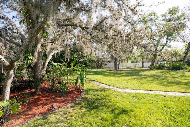 view of yard featuring fence