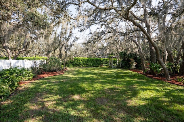 view of yard featuring fence