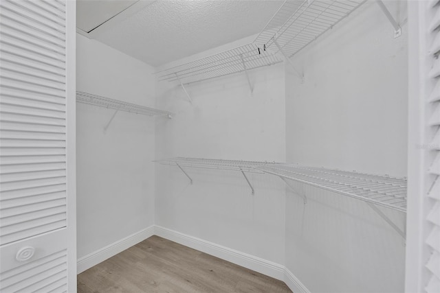 spacious closet featuring wood finished floors