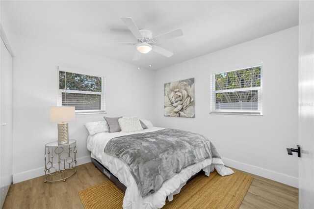 bedroom featuring ceiling fan, multiple windows, wood finished floors, and baseboards