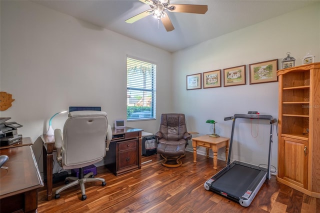 office featuring ceiling fan and wood finished floors