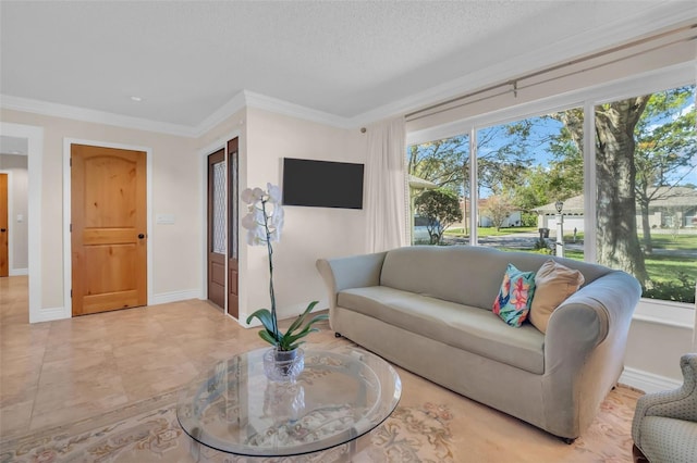 living room with crown molding, baseboards, and a textured ceiling