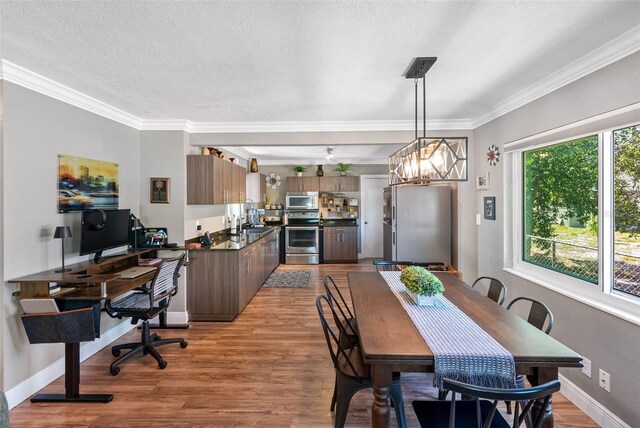 dining room featuring crown molding, baseboards, light wood finished floors, and a textured ceiling