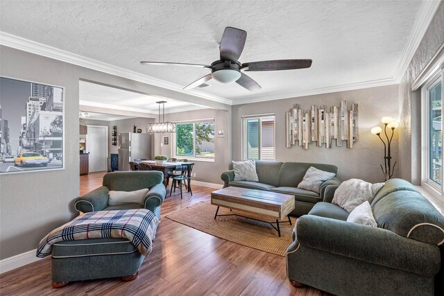 living area with a textured ceiling, wood finished floors, and crown molding