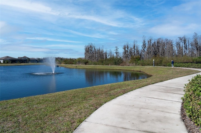 view of water feature