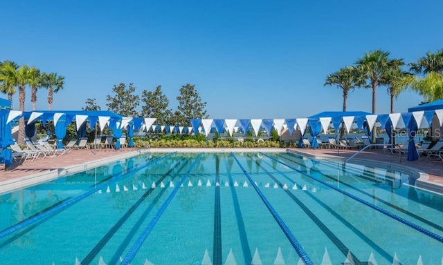 view of pool featuring a patio