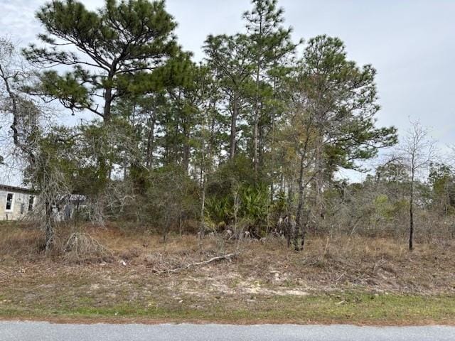 8090 Nordica Rd, Brooksville FL, 34613 land for sale