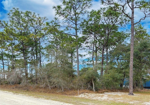 Listing photo 3 for 8090 Nordica Rd, Brooksville FL 34613