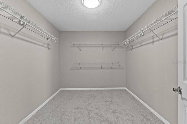 spacious closet with carpet flooring