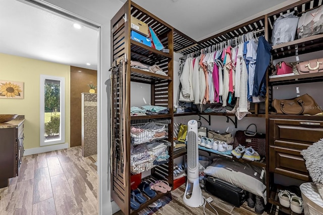 walk in closet with wood finished floors