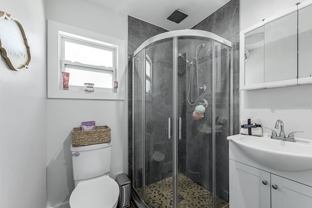 bathroom featuring toilet, a stall shower, and vanity