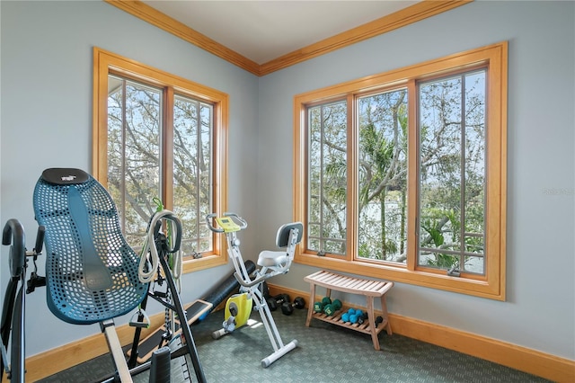 exercise area with baseboards, carpet floors, and crown molding