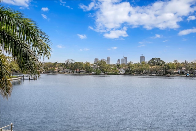 property view of water with a city view