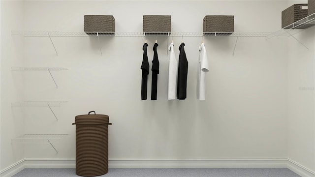 spacious closet featuring carpet flooring