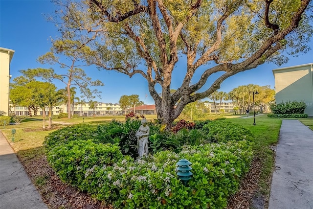 view of community with a yard