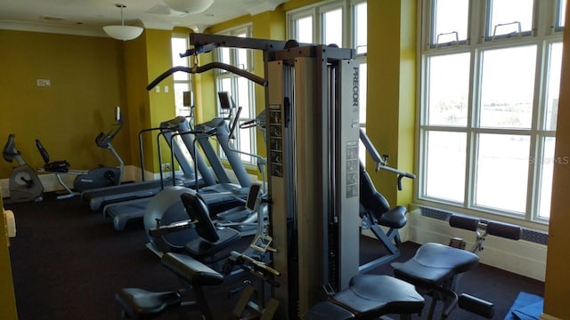 workout area with a healthy amount of sunlight, baseboards, and ornamental molding