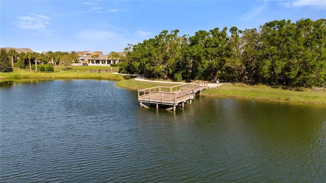 dock area with a yard and a water view