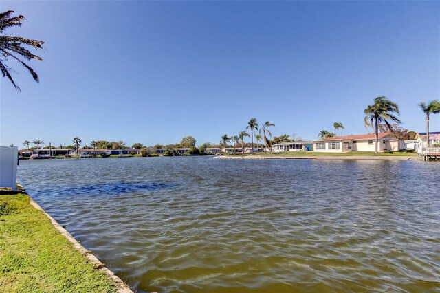 3805 Baden Dr, Holiday, FL 34691 - photo 53
