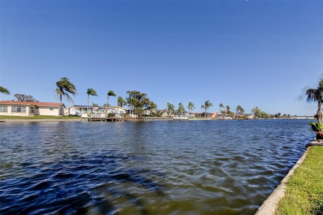 3805 Baden Dr, Holiday, FL 34691 - photo 54